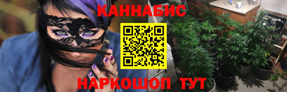 Конопля THC 21%  МАРИХУАНА сатива  МАРИХУАНА THC 21%  Новочеркасск  Вход с VPN 